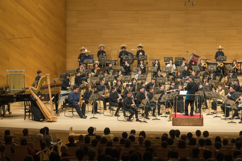 しすがの芸術 ポケカ】カンダシンジの異彩を放つ世界観が話題！人気ポケカの初動と